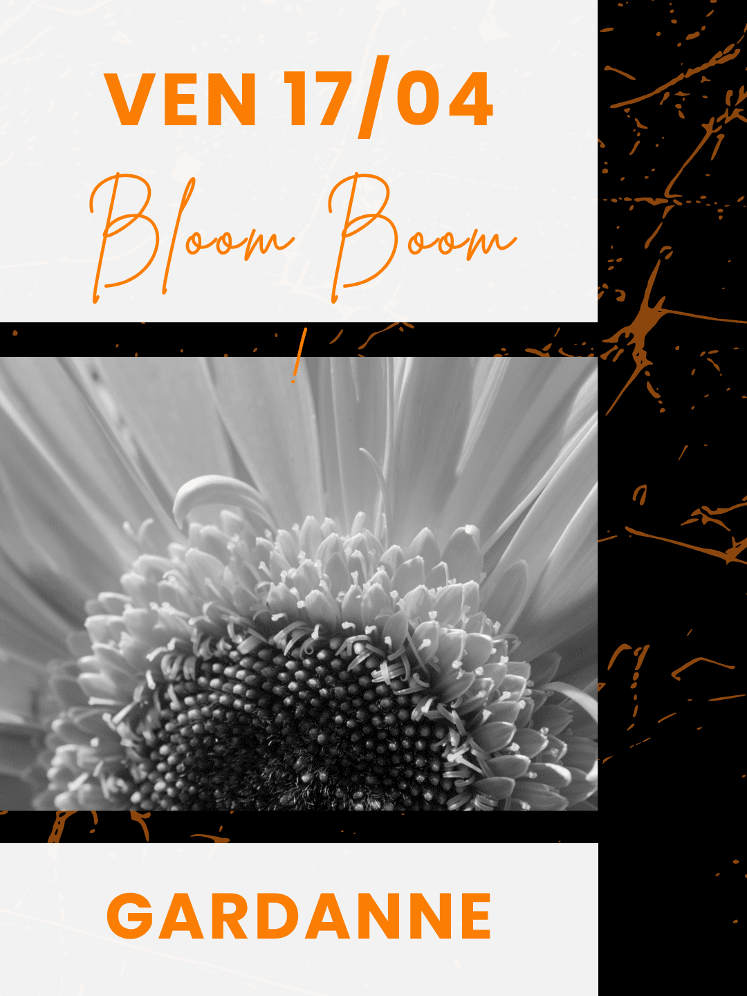 atelier afrovibe one-shot gardanne avril 2026 bloom boom